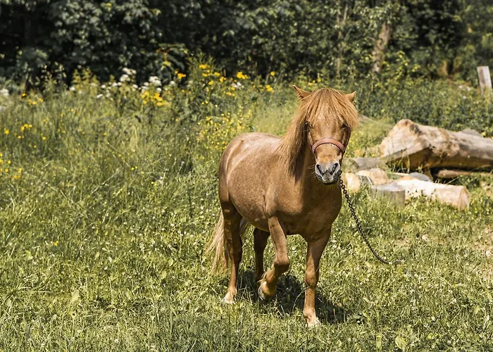 Dw Maria 2 Nocleg ze śniadaniem Zakopane