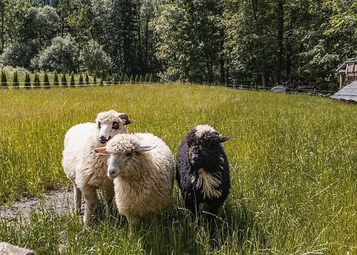 Dw Maria 2 Nocleg ze śniadaniem