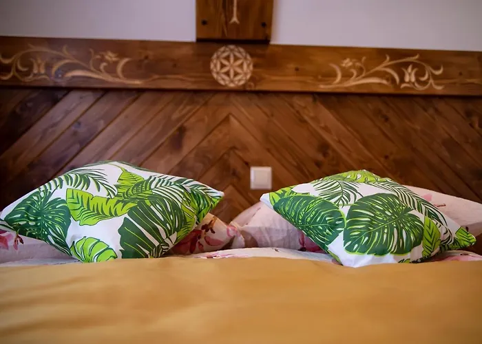 Dw Maria 2 زاكوباني